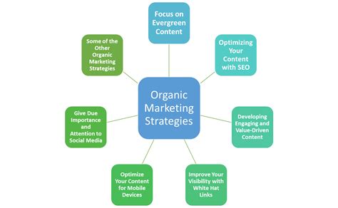 inexpensive organic marketing coach for coaches